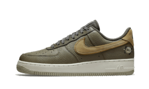 AF1 - '07 LX TURTLE