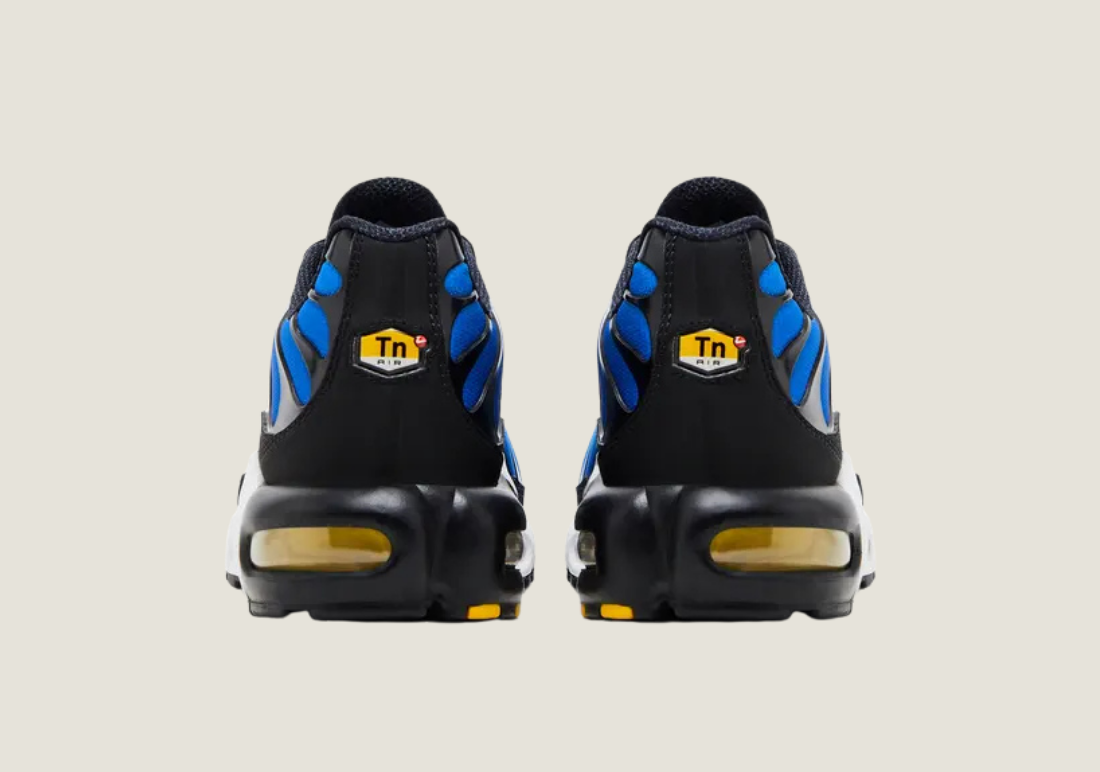 5_3cf6bbc0-a055-41d4-8f73-bdc25f0a4a4b.png